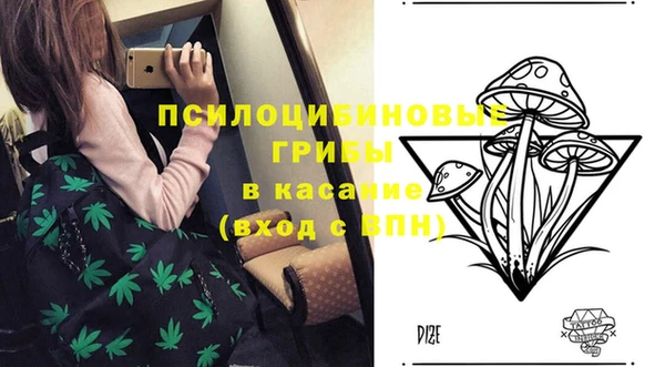 стафф Богданович