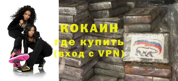 стафф Богданович