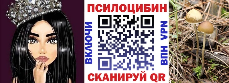 Псилоцибиновые грибы GOLDEN TEACHER  закладка  нарко площадка формула  Раменское 